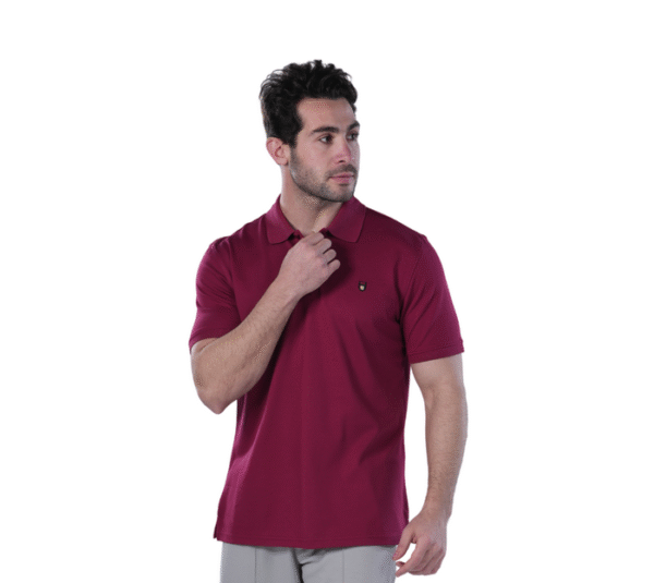 Classic Fit Polo Shirt for Men – Burgundy