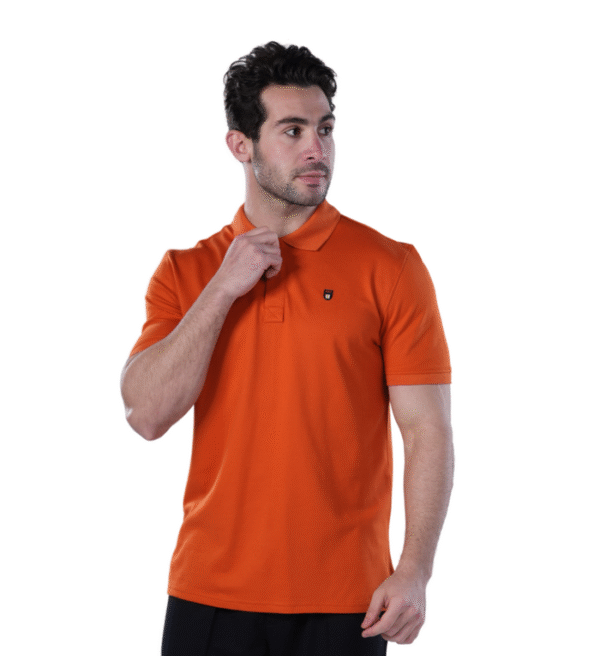 Classic Fit Polo Shirt for Men – Havan